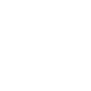 Customized Service and AI Model Development
